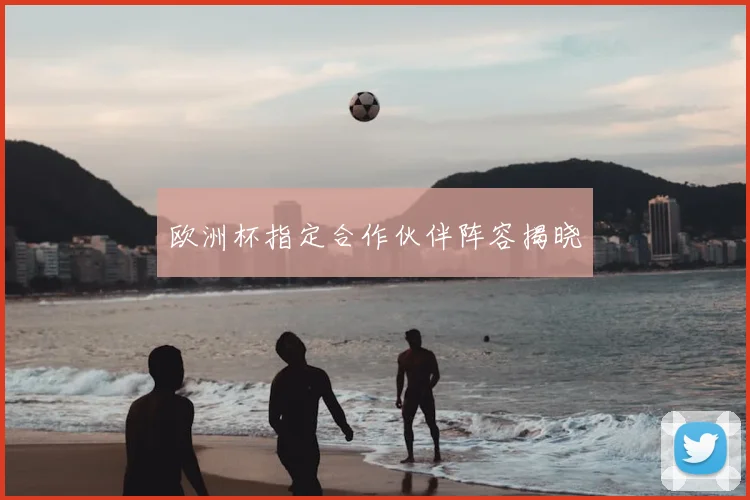 欧洲杯指定合作伙伴阵容揭晓