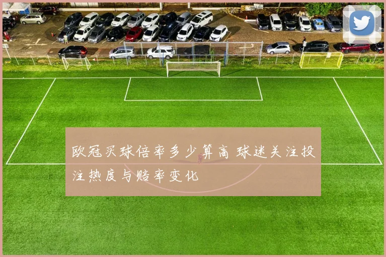 欧冠买球倍率多少算高 球迷关注投注热度与赔率变化
