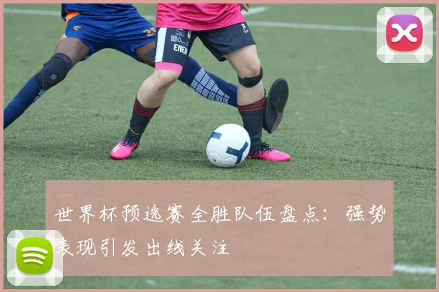 世界杯预选赛全胜队伍盘点:强势表现引发出线关注