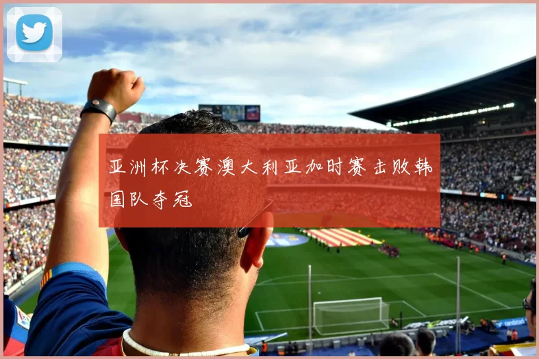 亚洲杯决赛澳大利亚加时赛击败韩国队夺冠