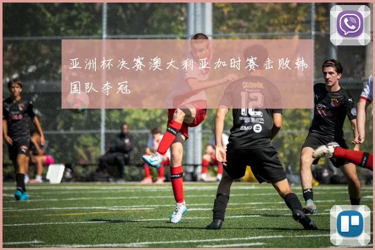 亚洲杯决赛澳大利亚加时赛击败韩国队夺冠